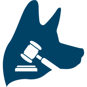TopDog Personal Injury Law Firm