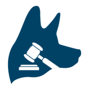 Pe Personal Injury Lawyer | TopDog Law Personal Injury Lawyers