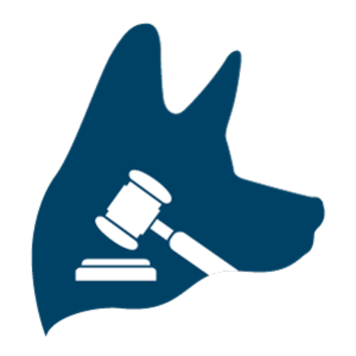 Pe Personal Injury Lawyer | TopDog Law Personal Injury Lawyers