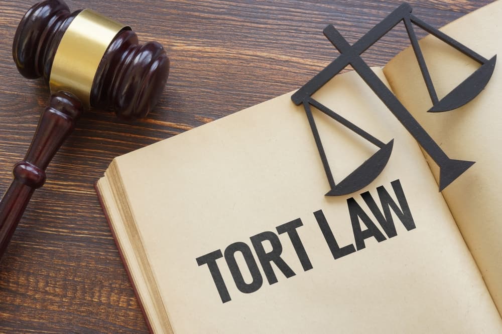Tort law is depicted through text displayed on the pages of a book.